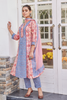 Pink Chiffon Dupatta With Handblock Print Border